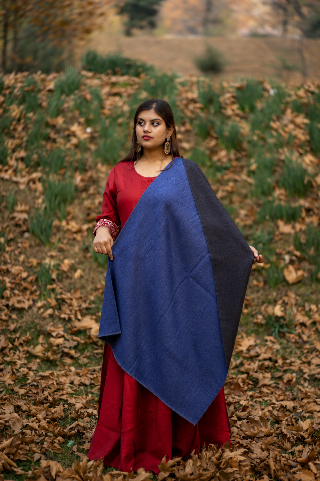 Blue & Navy Reversible Pashmina Shawl