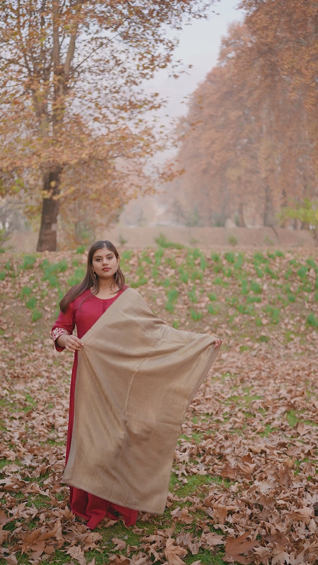 Grey and Gold Zari Reversible Pashmina Wrap