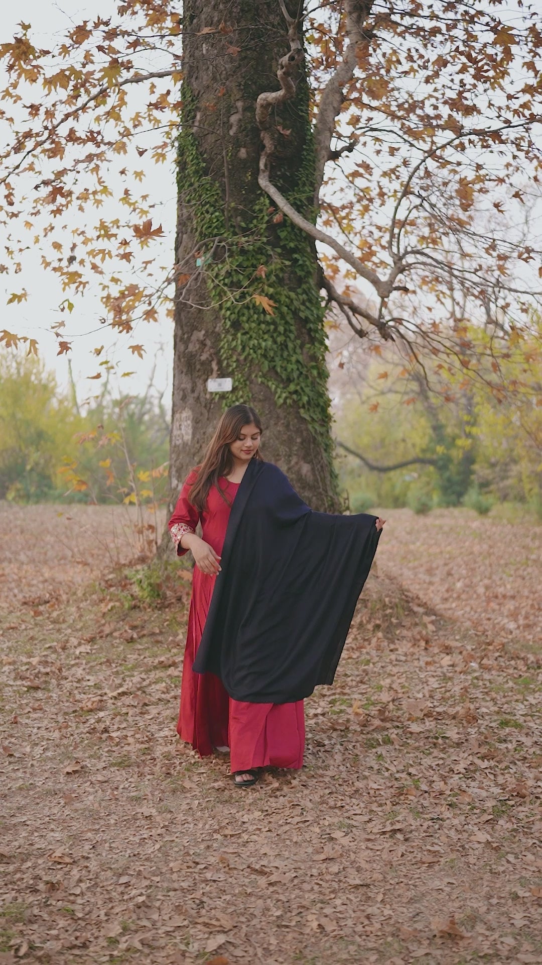 Navy Blue Pashmina Shawl