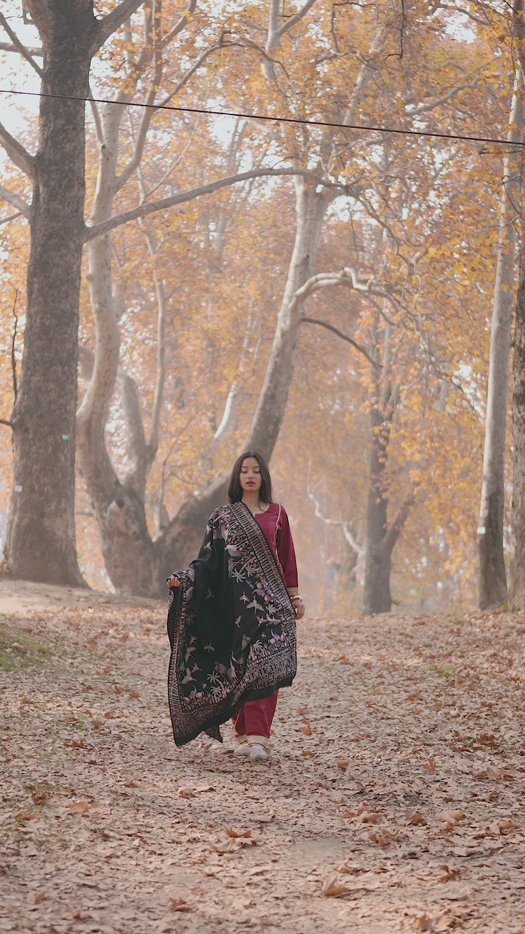 Midnight Paradise Kalamkari Pashmina Shawl