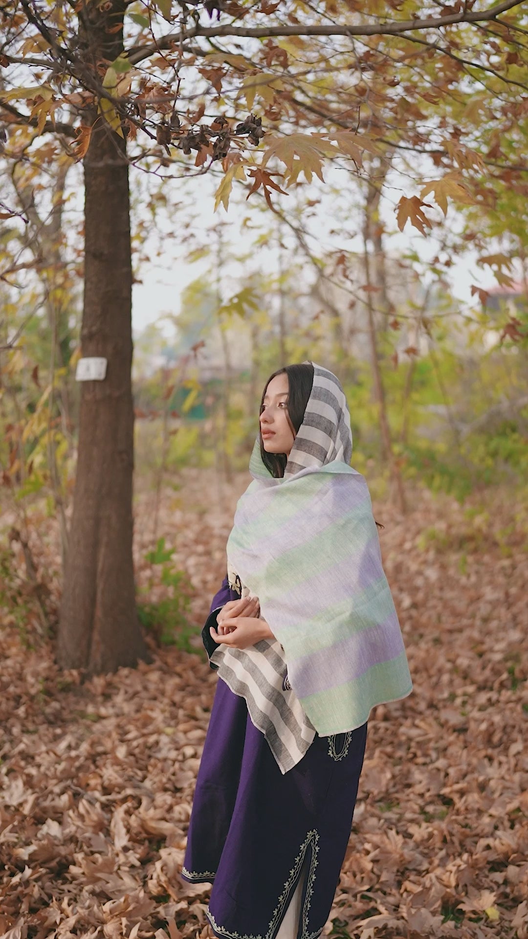 Black White and Green Stripes Pashmina Muffler