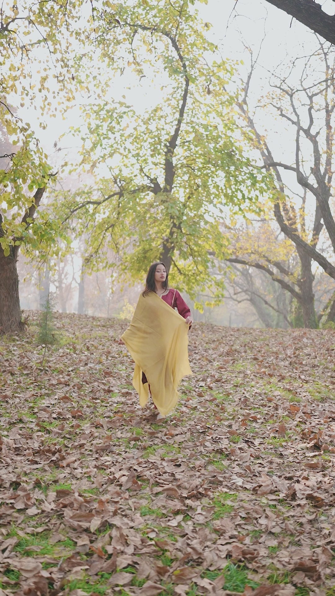 Mustard Pashmina Wrap