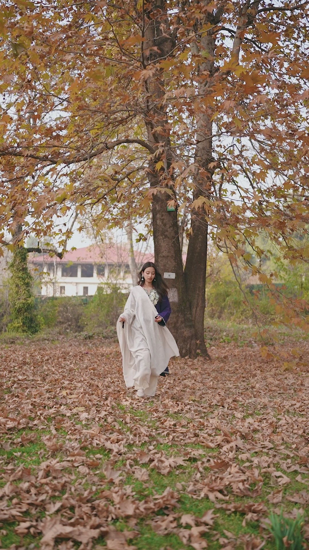 Ivory Handspun Pashmina Shawl