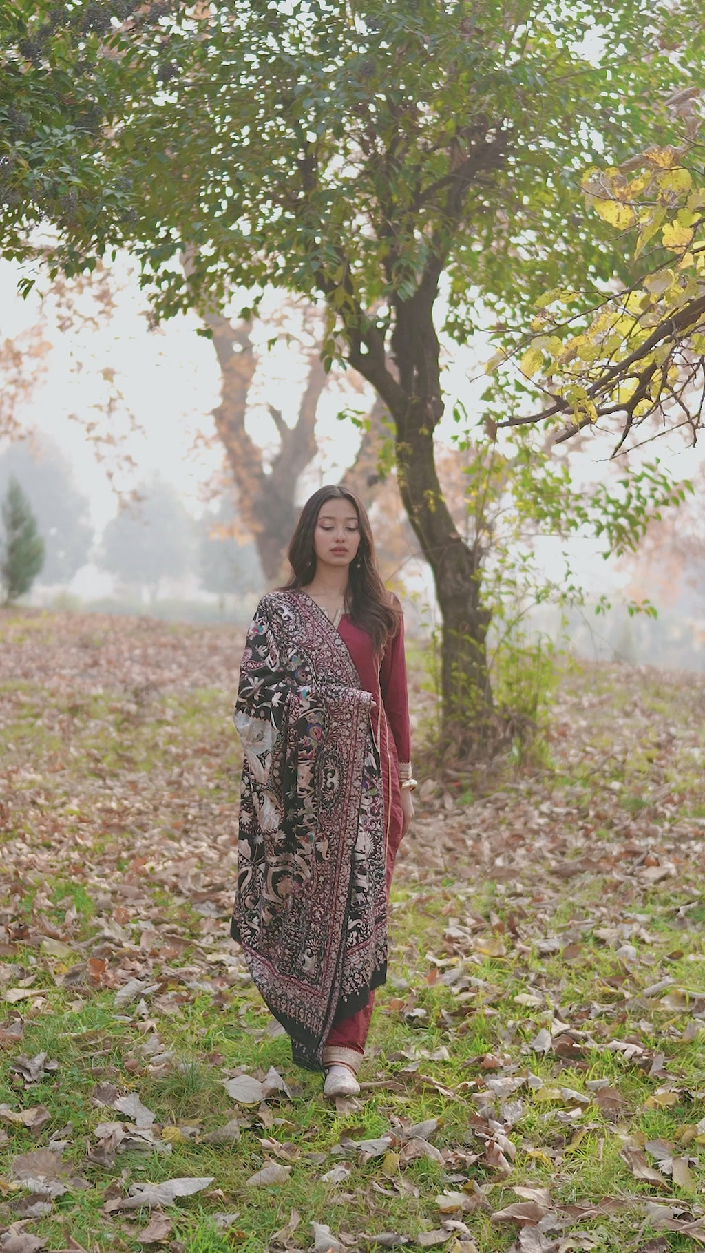 Noor E Siyaah Kalamkari Pashmina Shawl