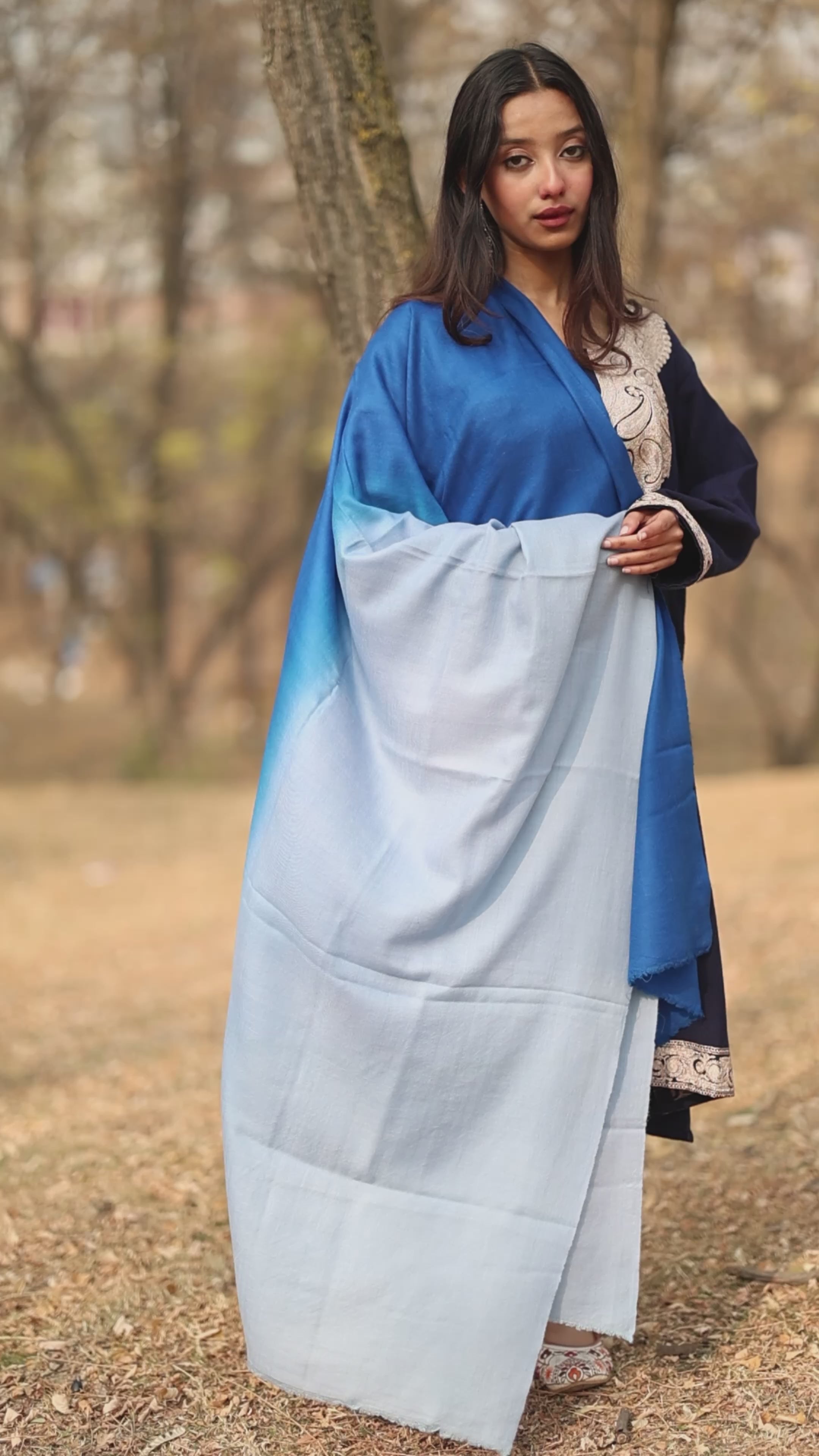 Blue Ombre Pashmina Shawl