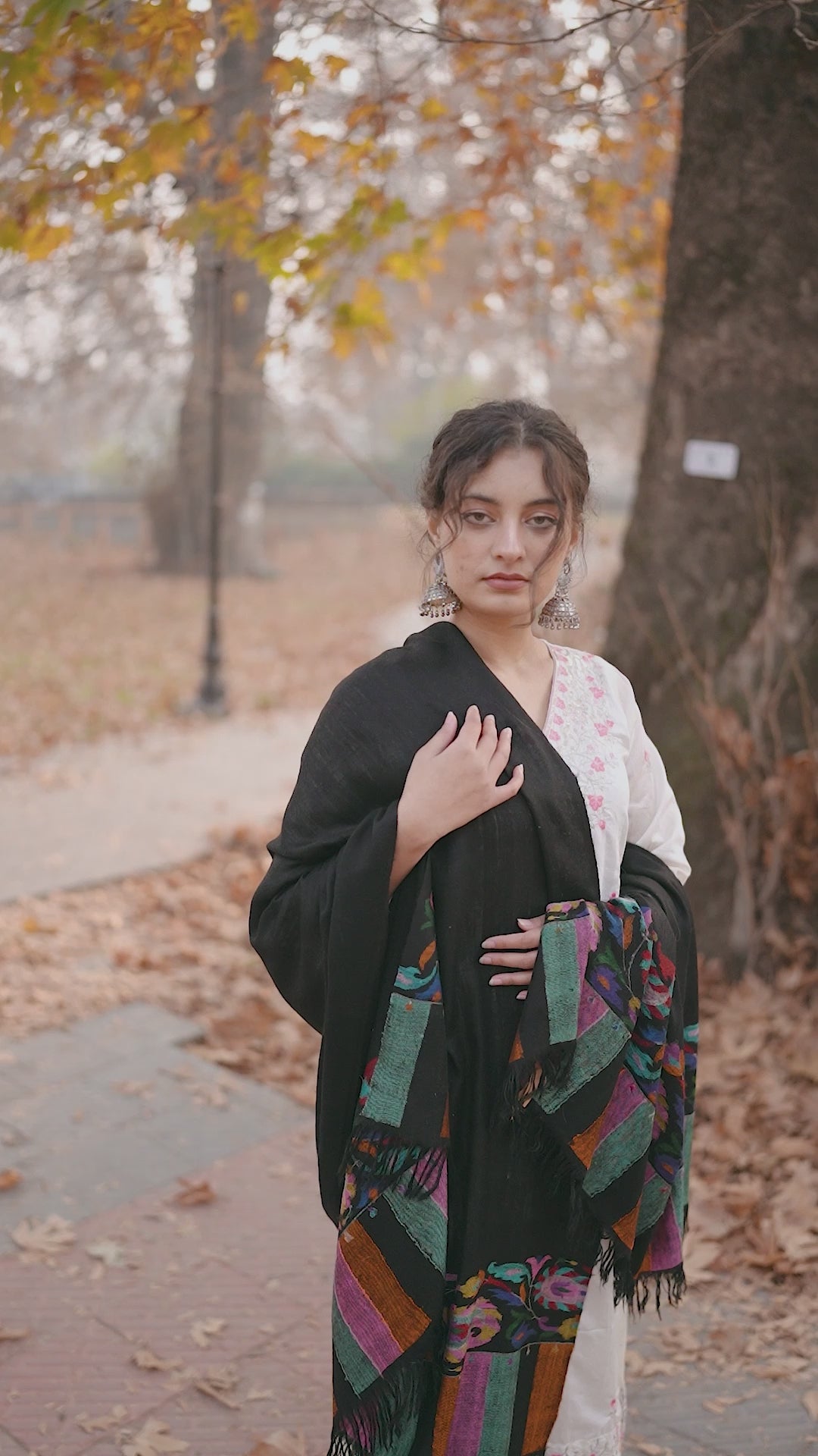 Black Kani Palla Pashmina Shawl