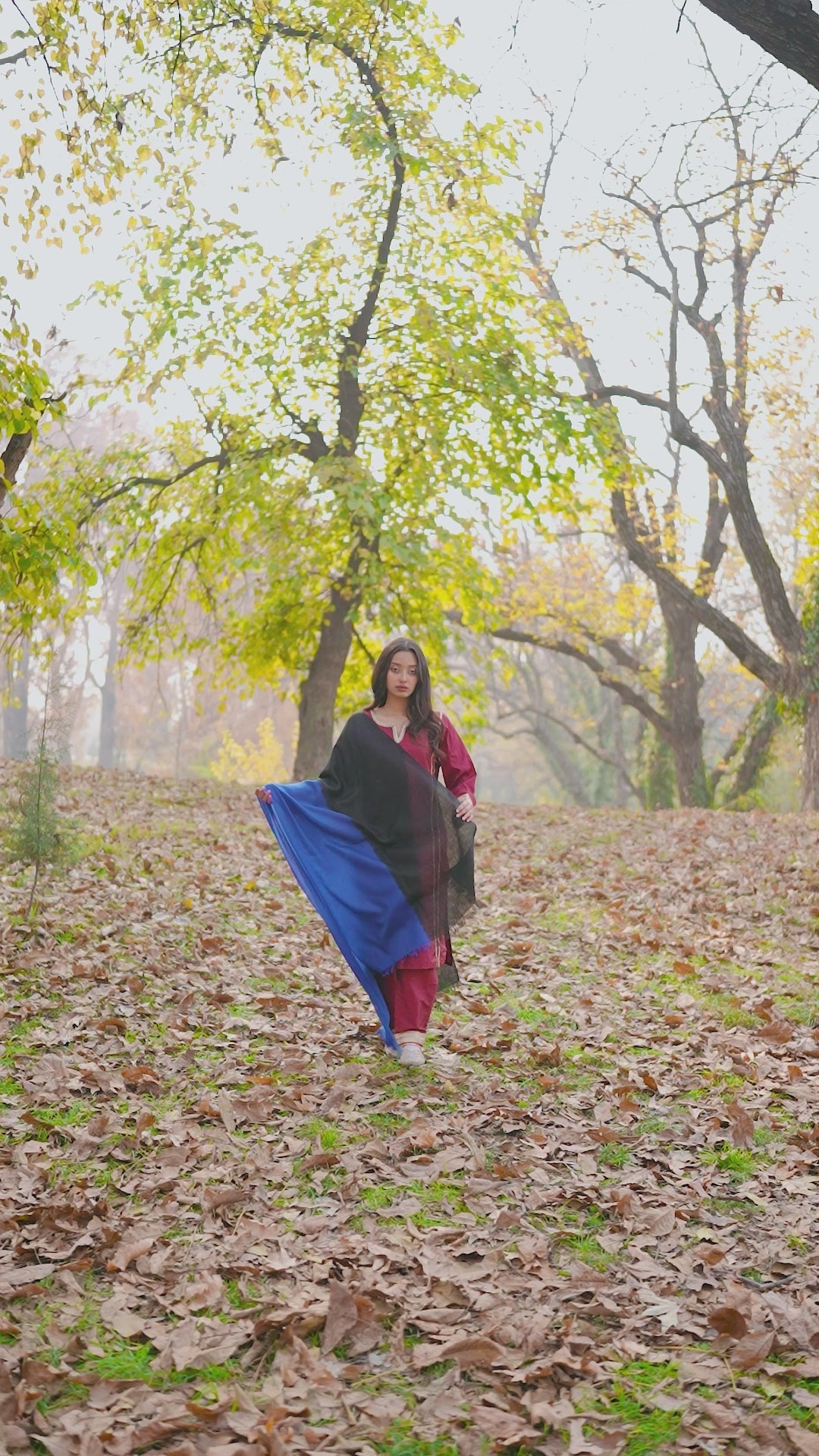 Blue and Black Ombre Pashmina Wrap