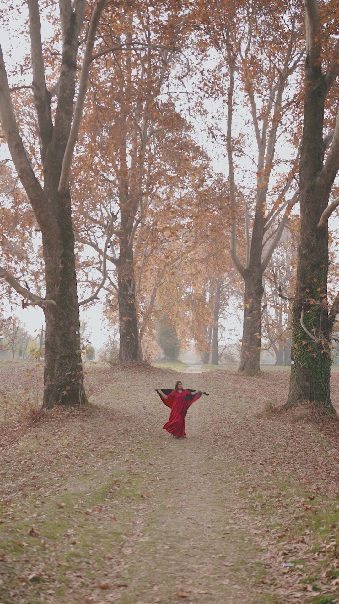 Red and Black Ombre Pashmina Shawl
