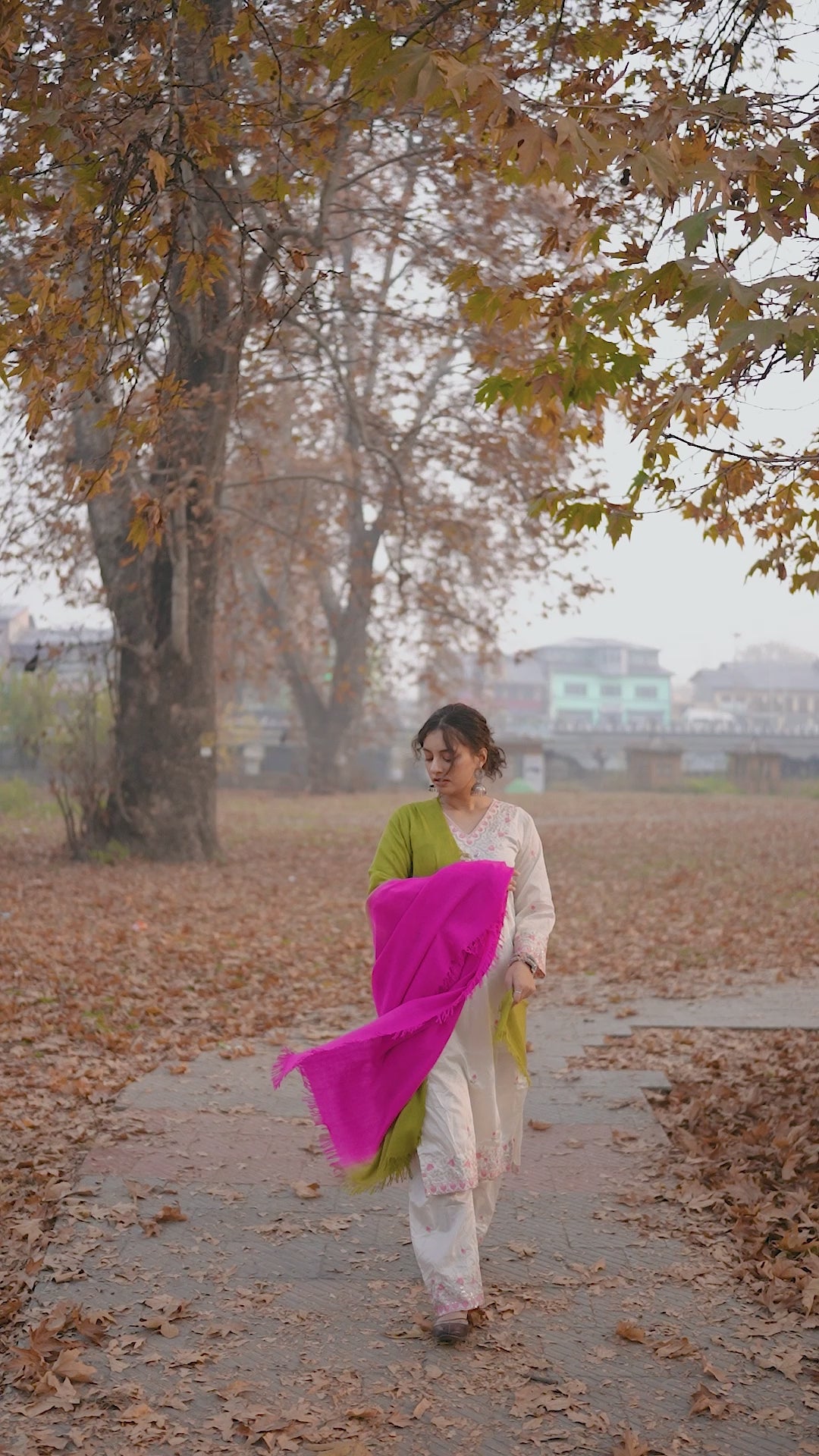 Pink and Green Ombre Handspun Pashmina Shawl