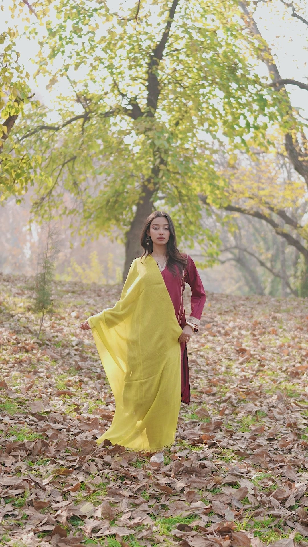 Yellow and Green Ombre Pashmina Shawl