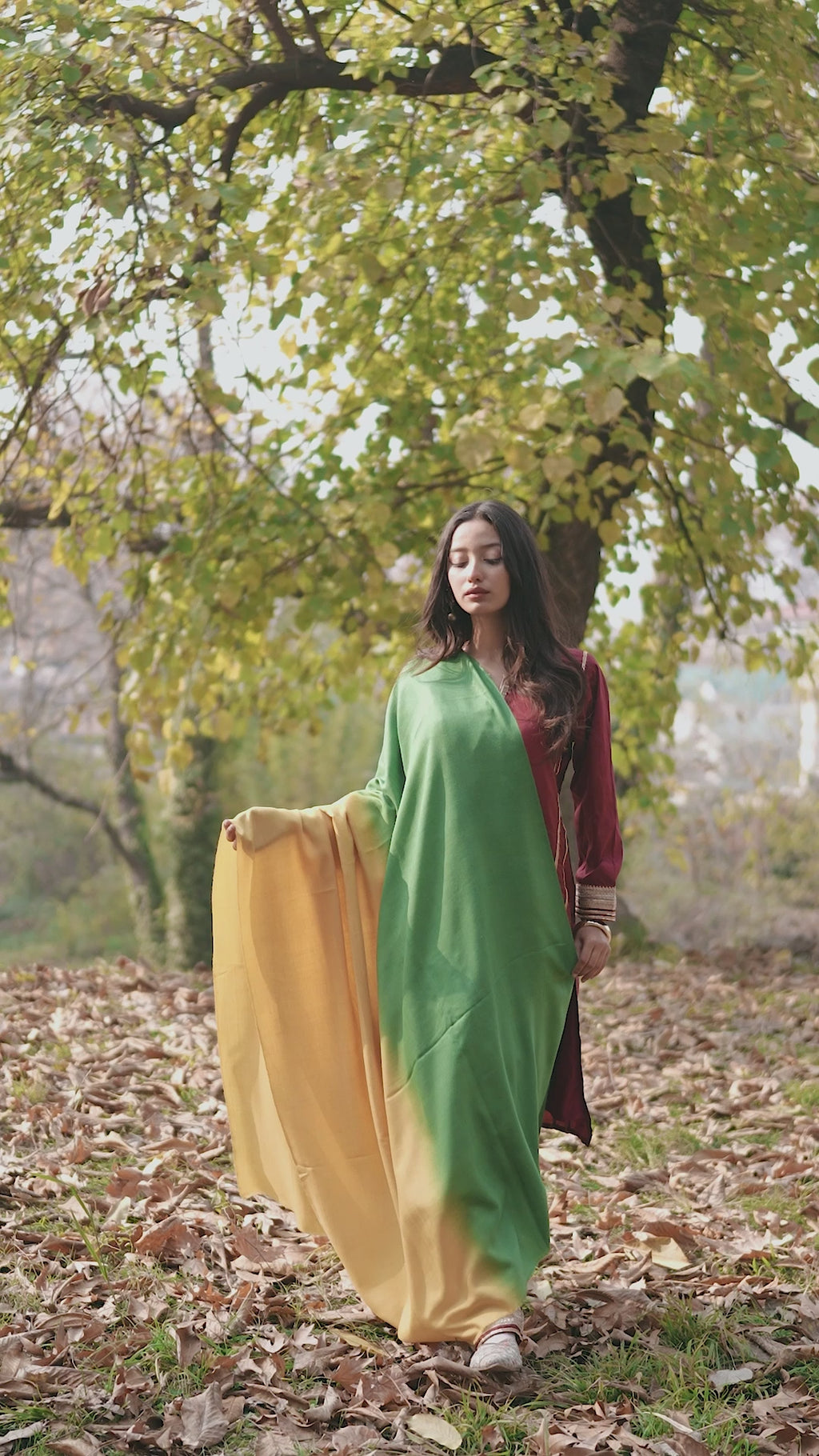 Yellow and Green Ombre Pashmina Shawl
