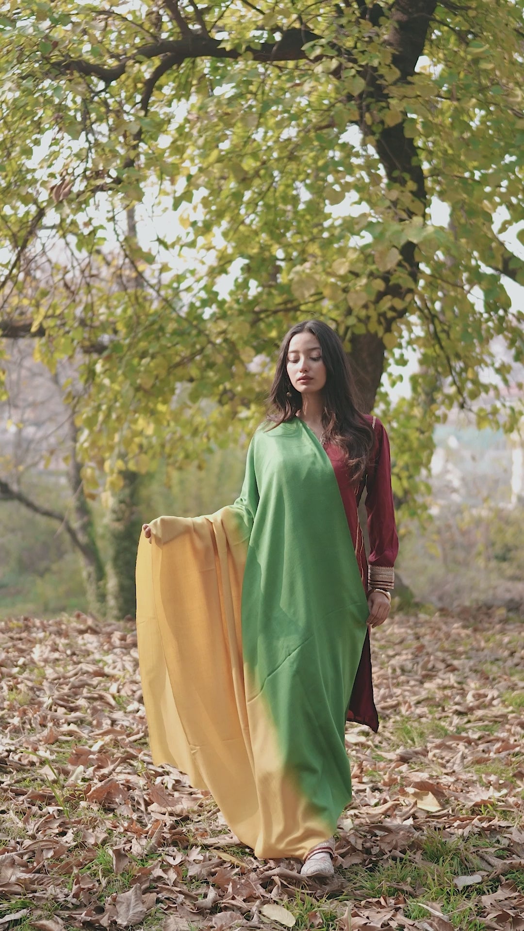 Yellow and Green Ombre Pashmina Shawl