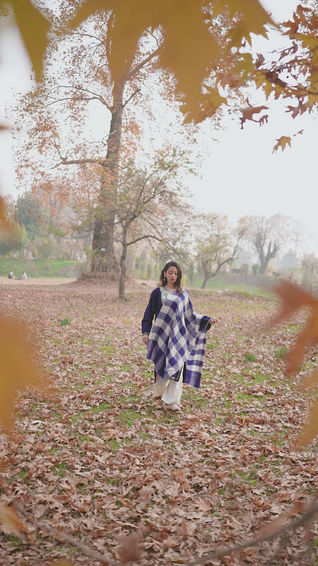 Blue and White Checkered Pashmina Stole