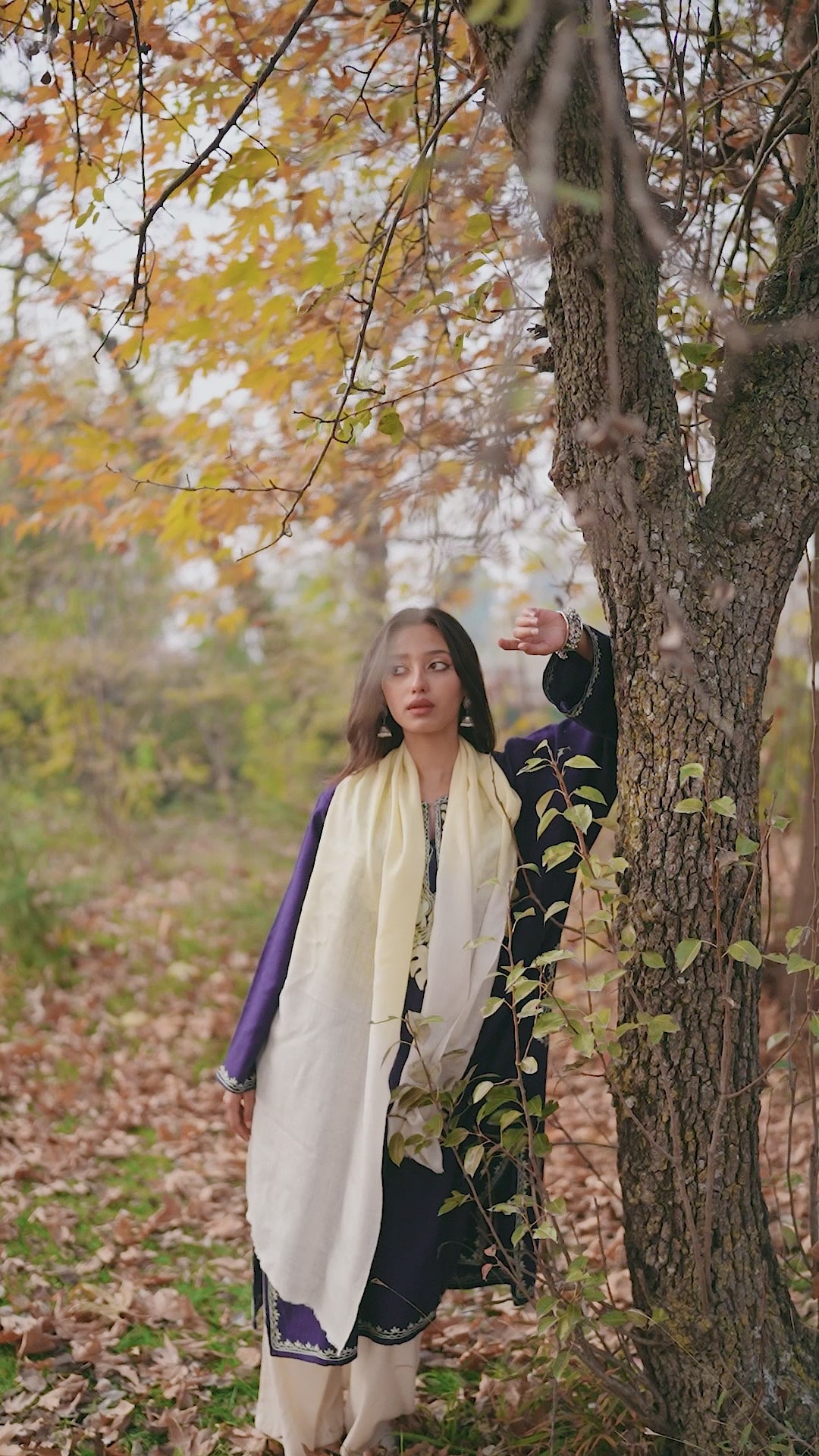 Ivory and Yellow Ombre Pashmina Muffler