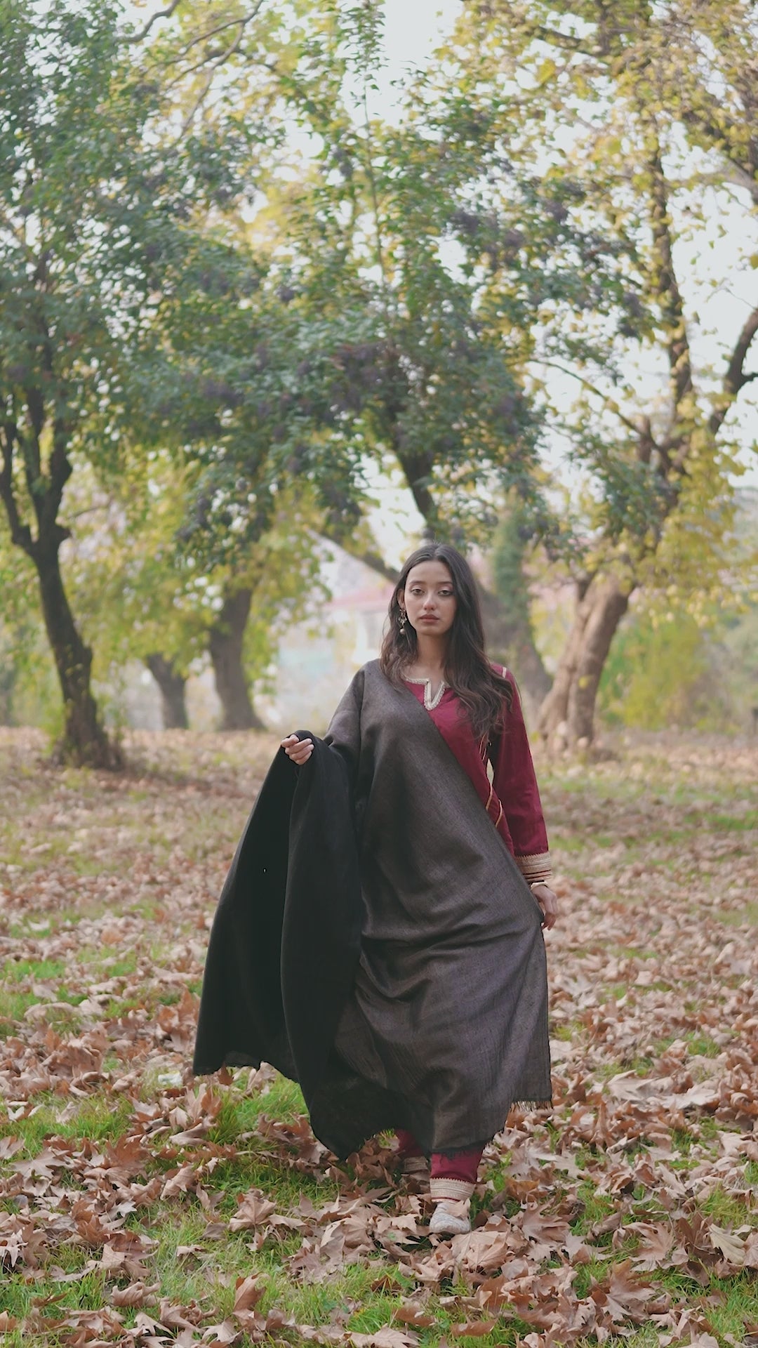 Black Reversible Pashmina Zari Shawl