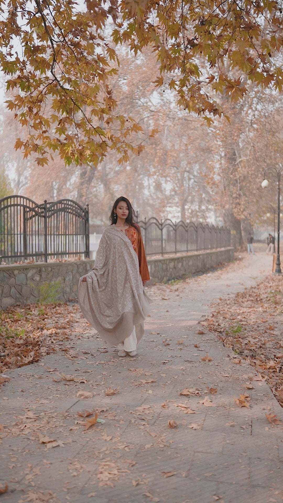 Beige Hand Embroidered Jaal Pashmina Shawl